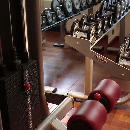 酒店 Nh Collection Carlo Iv 5*