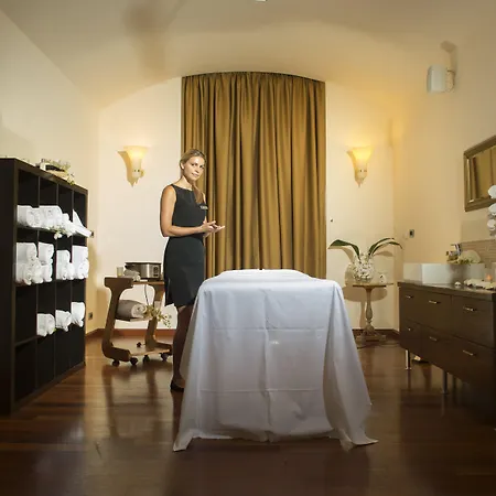 Nh Collection Carlo Iv 酒店 5*